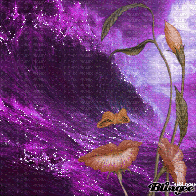 femme violette - 無料のアニメーション GIF