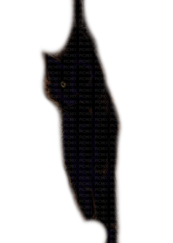hanged black cat - Free PNG