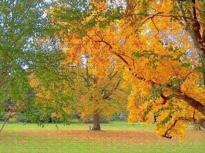 maisema landscape syksy autumn - бесплатно png