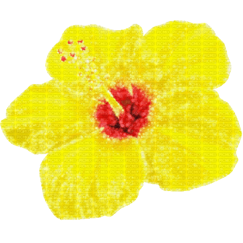 Animated.Flower.Yellow.Red - By KittyKatLuv65 - GIF animé gratuit