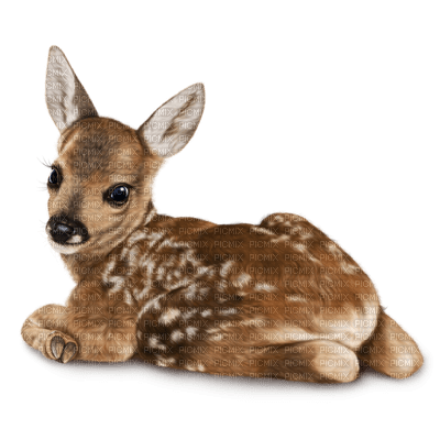 Bambi - фрее пнг
