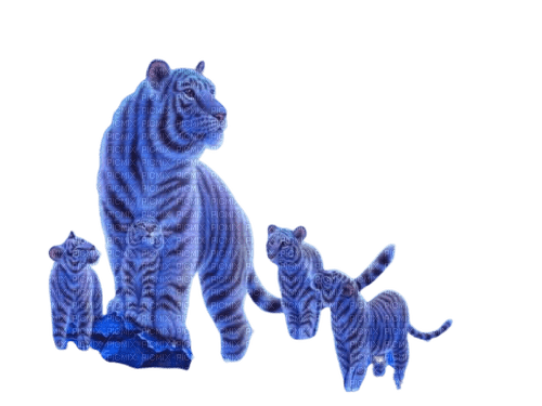 фиолетовые  тигры - png grátis