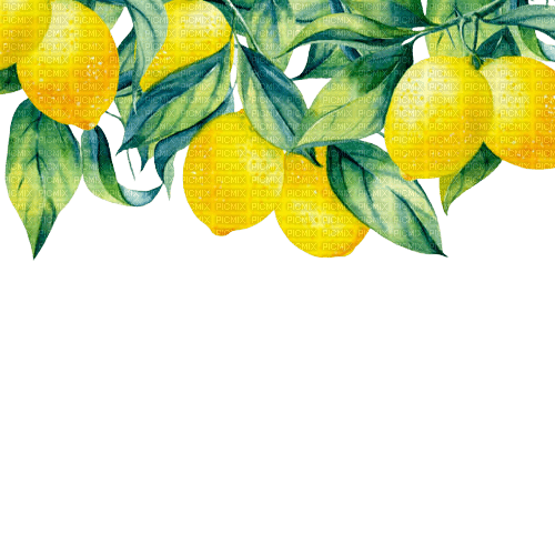 kikkapink lemon fruit deco png border - 無料png
