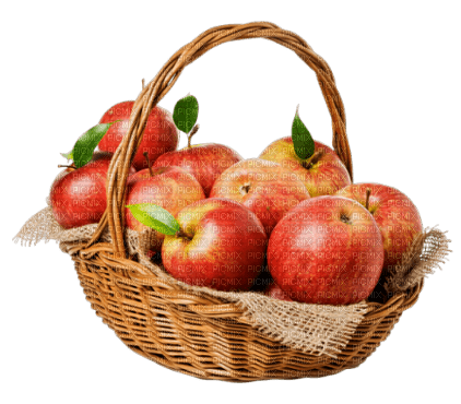basket apples by nataliplus - ilmainen png