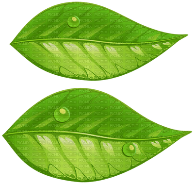 Kaz_Creations  Leaves Leafs - Free PNG