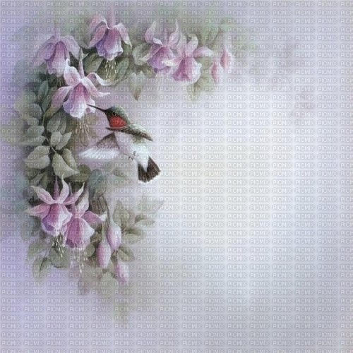 background fond hintergrund flower - 無料png