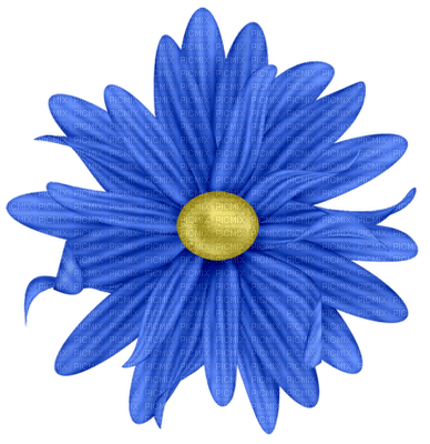 Kaz_Creations Deco Flower Colours - фрее пнг
