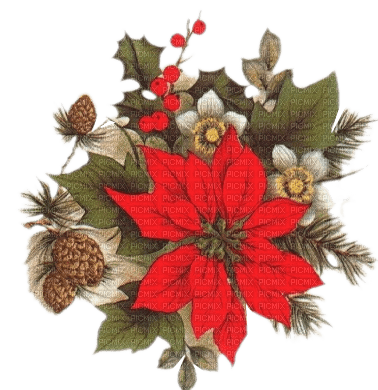 flores navidad  dubravka4 - Free PNG