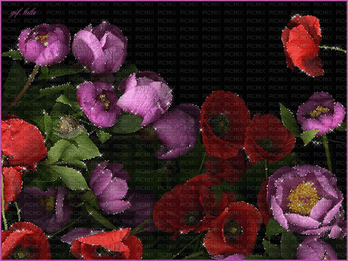 цветы22 - Darmowy animowany GIF