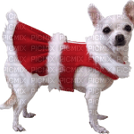 Kaz_Creations Christmas Dog - png gratis