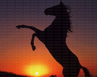 cheval au coucher de soleil <3 - gratis png