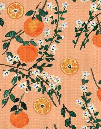 background summer orange - nemokama png