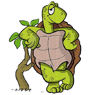 Kaz_Creations Cartoon Tortoise & Turtles - ücretsiz png