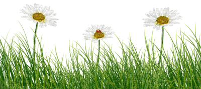 Kaz_Creations Garden-Deco-Grass - ücretsiz png