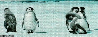 pingouin danse neige - Zdarma animovaný GIF