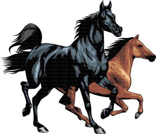 chevaux - png grátis