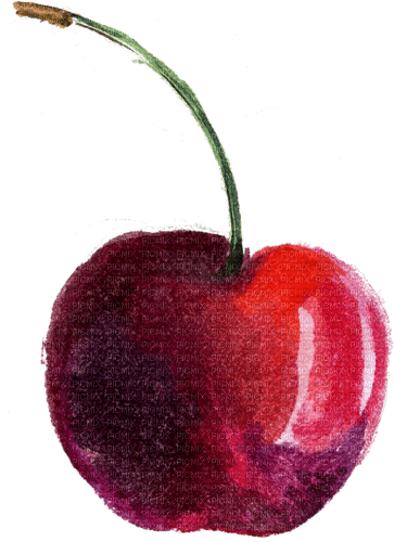cherry watercolor Bb2 - gratis png