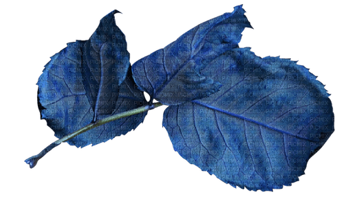Leaves.Feuilles.Blue.plants.Roses.Victoriabea - 免费PNG
