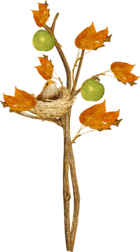 kikkapink deco autumn bird tree apple - 無料png
