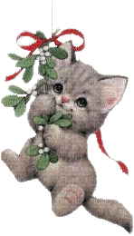 Kaz_Creations Animals Christmas Cat Kitten - Бесплатный анимированный гифка