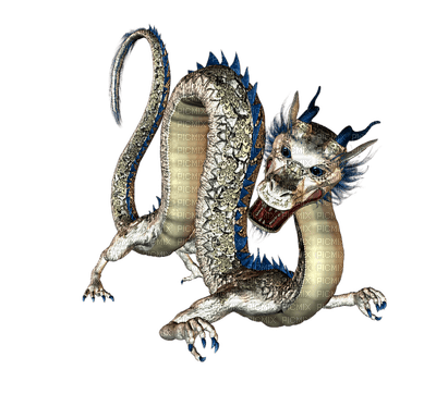 dragon  by nataliplus - png gratis