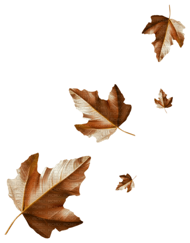 gala autumn - фрее пнг