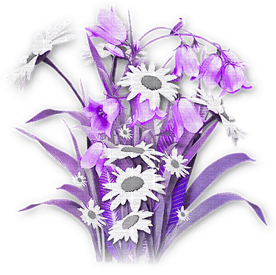 soave deco flowers garden spring branch - 免费PNG