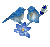 blue birds 3 - Бесплатный анимированный гифка