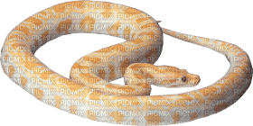 Kaz_Creations Snake - png gratis