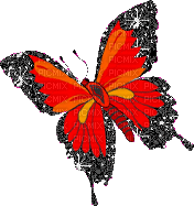 Papillon - Free animated GIF