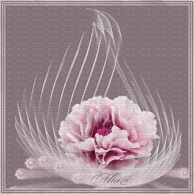 pink-flowers-sinedot - Free PNG