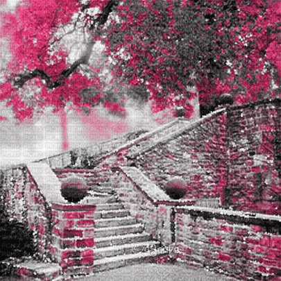 soave background animated autumn vintage stairs - Gratis animeret GIF