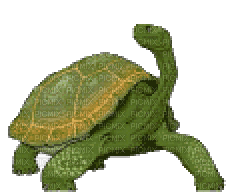 aze tortue - Безплатен анимиран GIF