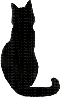 Cats'n'Kittens - png gratuito