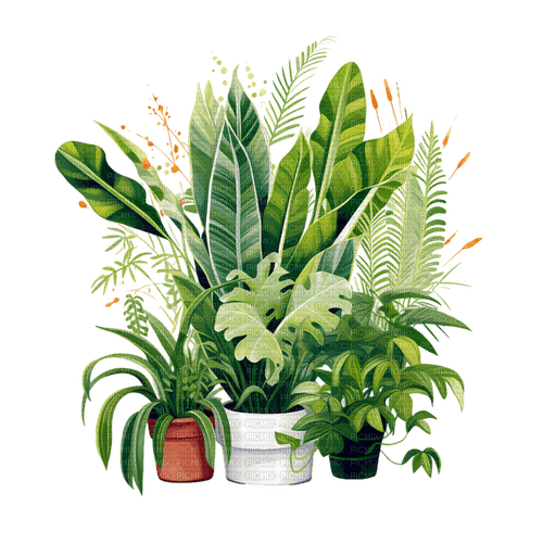 house plants Bb2 - zdarma png
