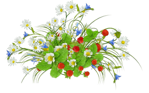Y.A.M._Summer Flowers Decor - 無料png