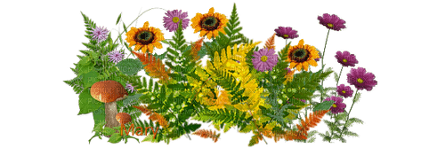 Fleurs.Flowers.Automne.Autumn.Victoriabra - PNG gratuit