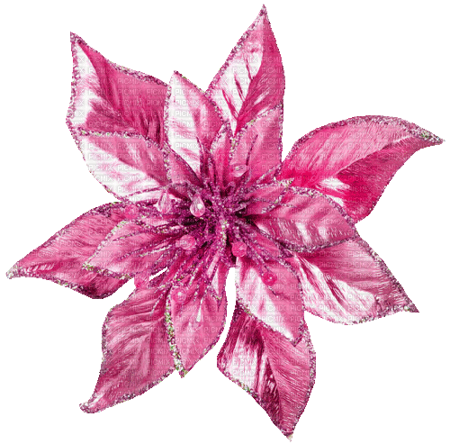 Christmas.Winter.Flower.Pink - KittyKatLuv65 - Gratis geanimeerde GIF