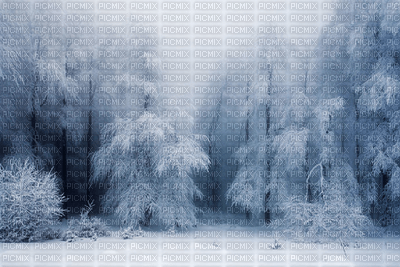 winter-landskap - 免费PNG