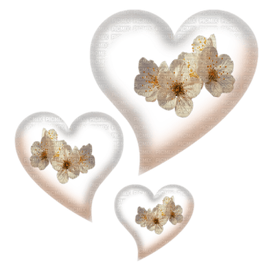 dulcineia8 corações - png grátis