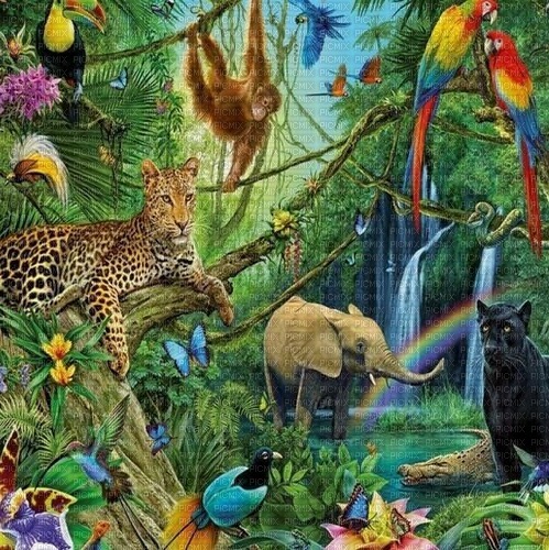 Jungle jpg - gratis png