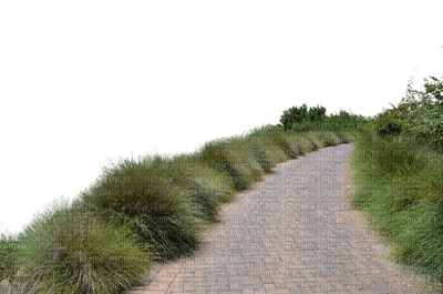 Road - 無料png