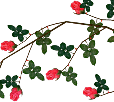 Y.A.M._Vegetation Rose Decor - PNG gratuit