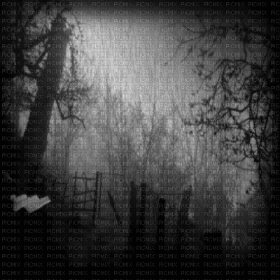 black background gif - Бесплатный анимированный гифка