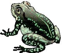 grenouille - Bezmaksas animēts GIF