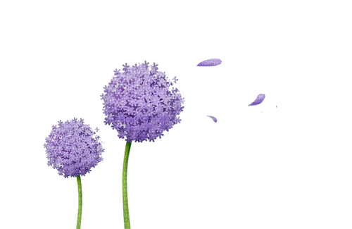 purple flowers Bb2 - фрее пнг