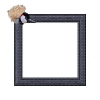 Small Grey Frame - 無料png