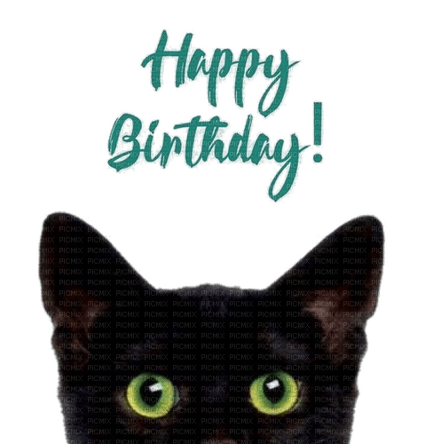 Happy Birthday, Cat, Katze - zdarma png