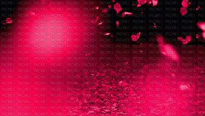 Rojo - Free animated GIF