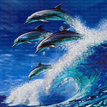 dolphin bg gif dauphin fónd🐬🐬 - Δωρεάν κινούμενο GIF